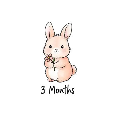 A minimalist watercolor illustration of a fluffy peach-colored bunny holding a small flower. Centered on a white background. Hand-lettered text '3 Months' underneath. Soft, clean edges for T-shirt printing.