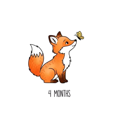 A minimalist watercolor illustration of a playful orange fox cub looking at a butterfly. Centered on a white background. Hand-lettered text '4 Months' underneath. Whimsical woodland style.